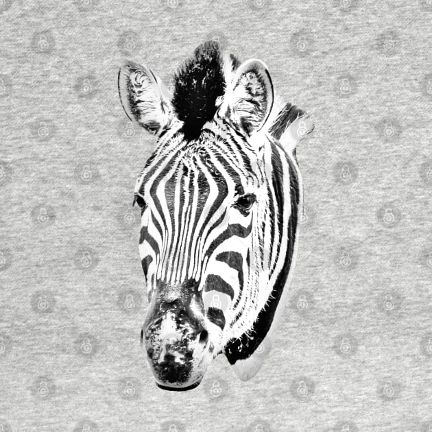 Drawing conversion of a Zebra by dalyndigaital2@gmail.com